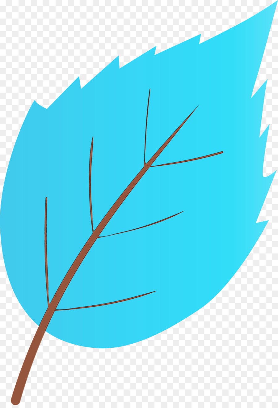 Feuille，Usine PNG