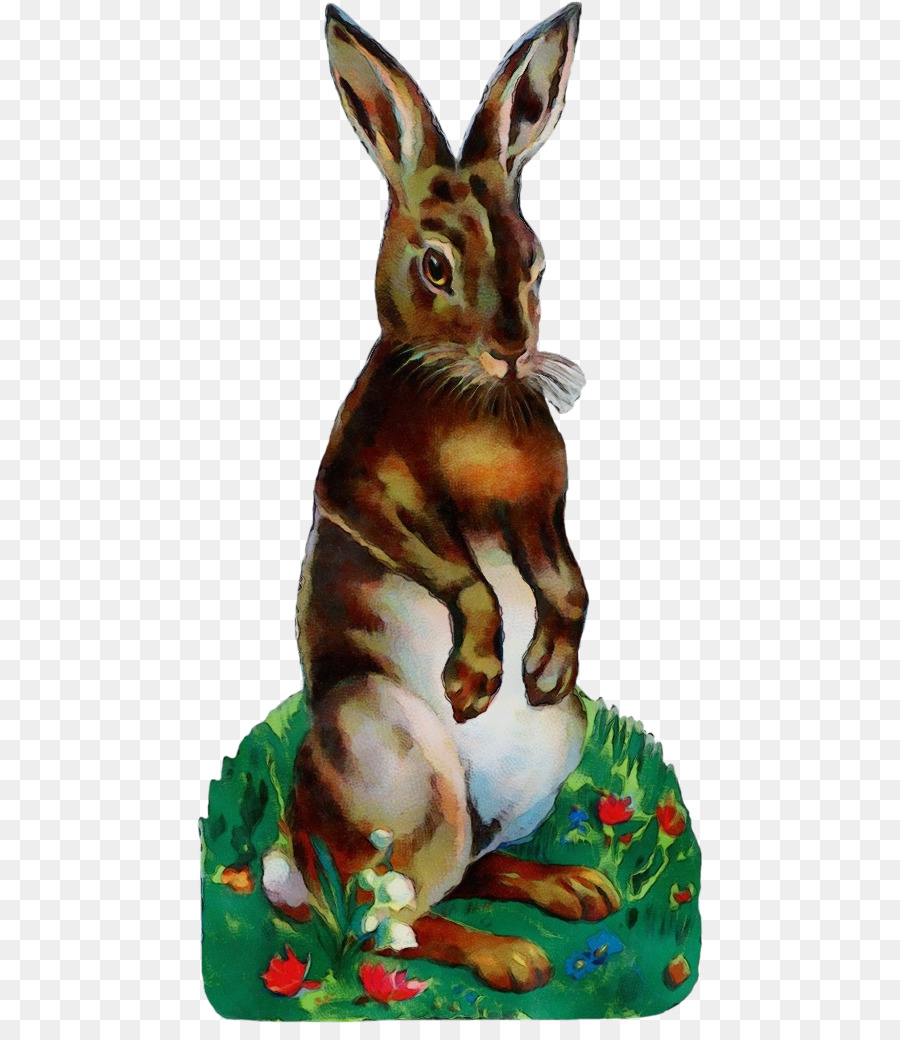 Le Lièvre，Lapin PNG