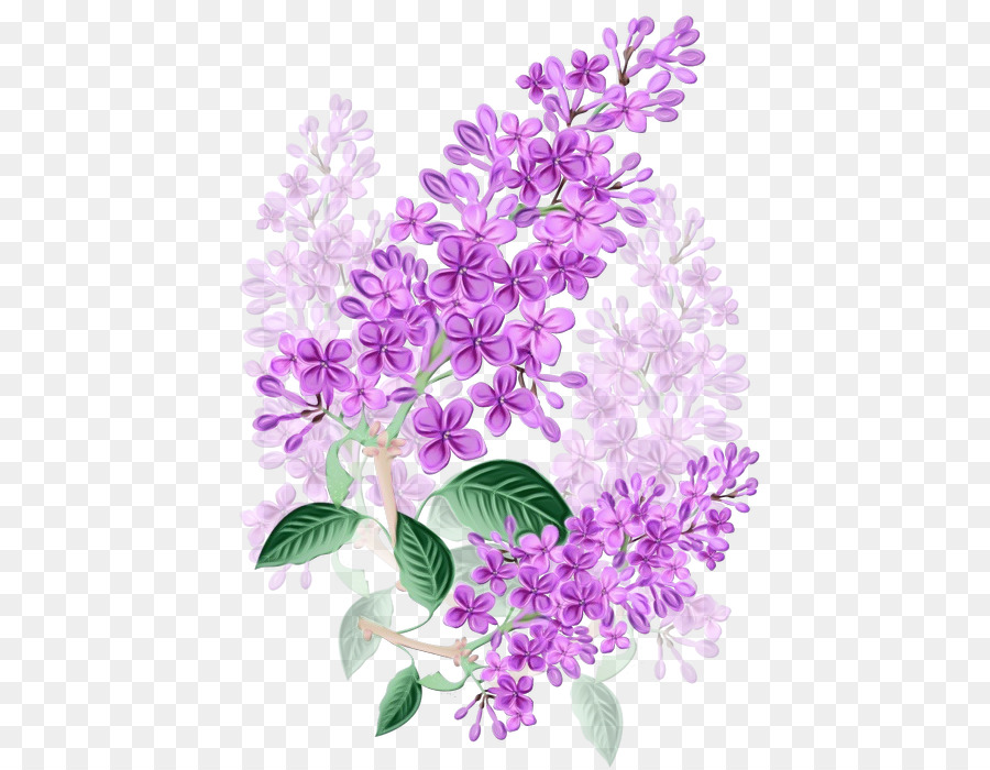 Fleurs Violettes，Fleurir PNG