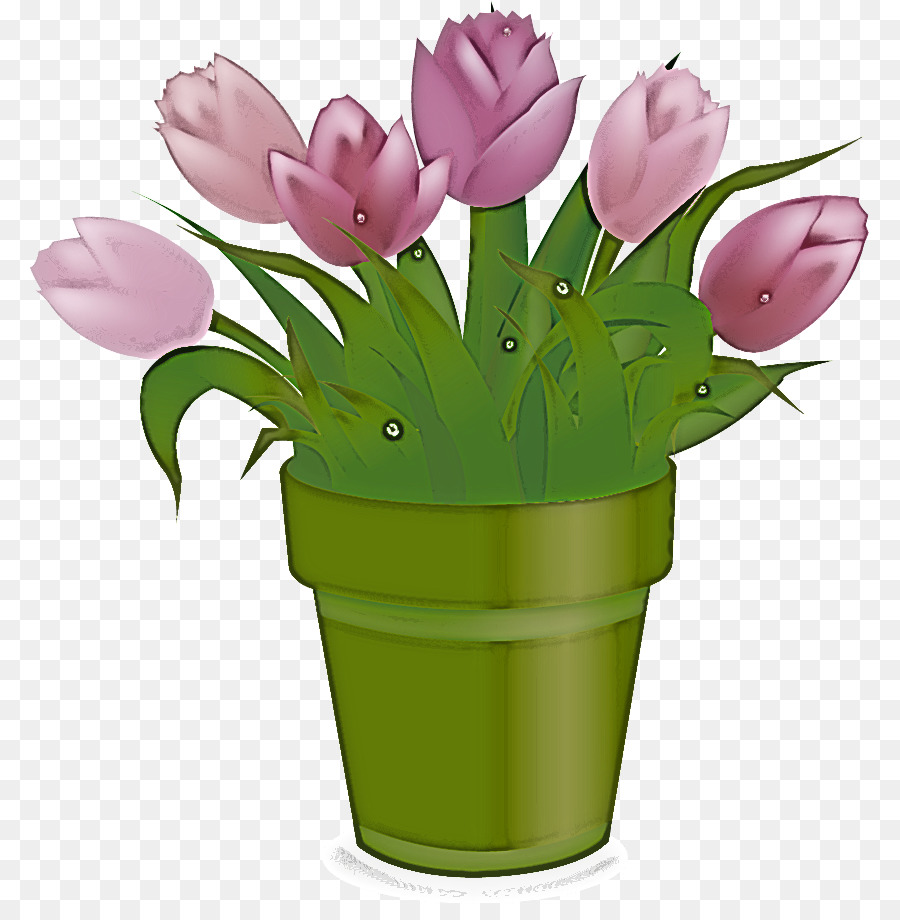 Flowerpot，Fleur PNG