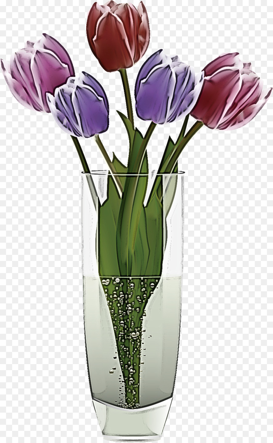 Tulipes Rouges Dans Un Vase，Tulipes PNG