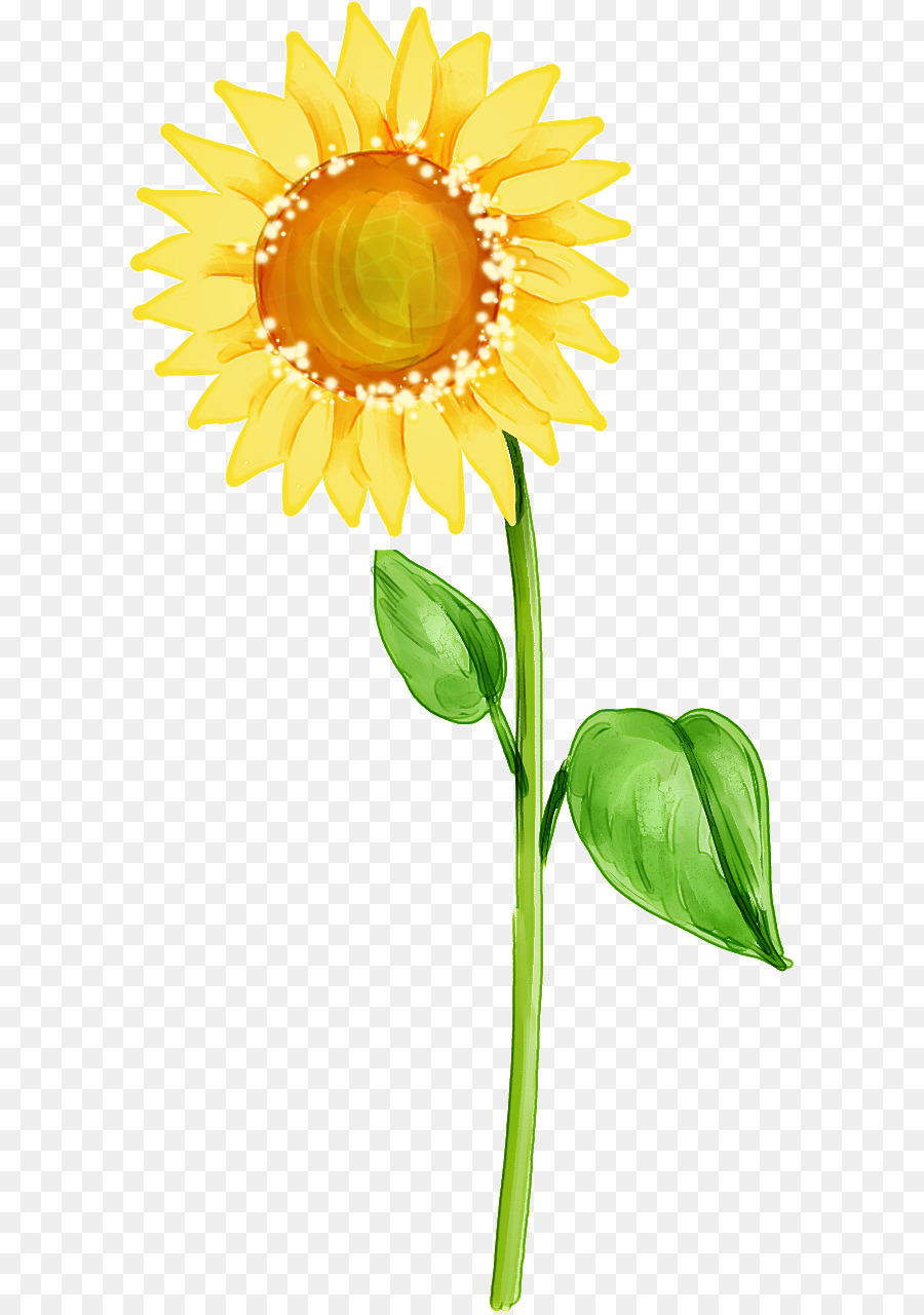 Tournesol，Usine PNG