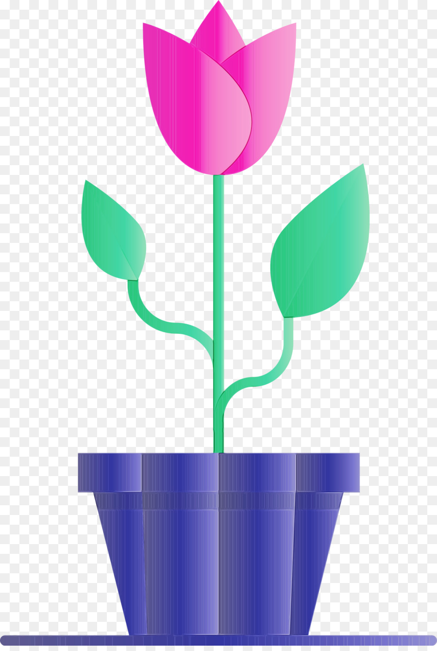Flowerpot，Tulip PNG