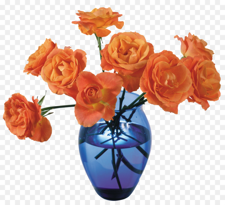 Orange，Vase PNG