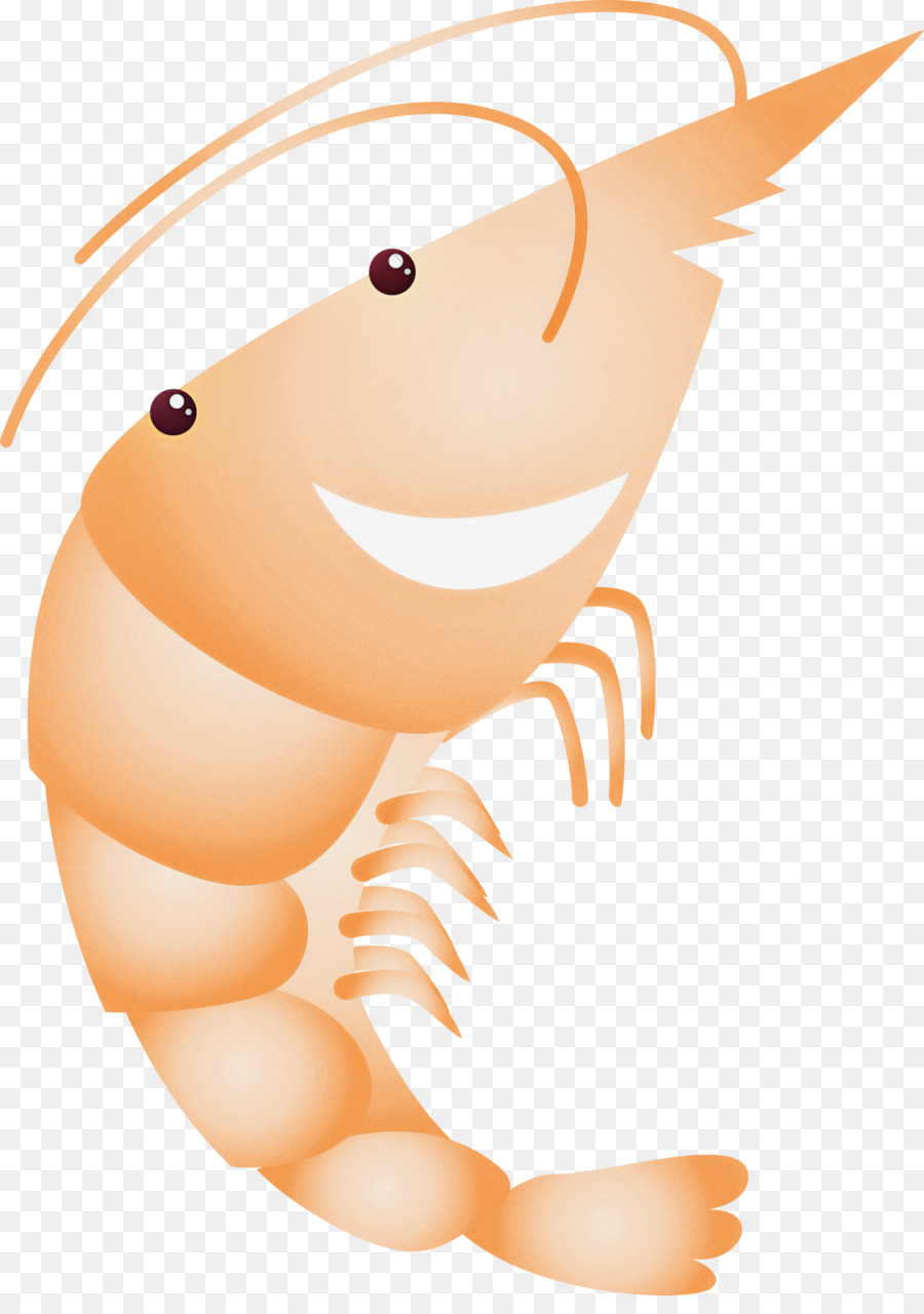 Crevettes Violettes，Dessin Animé PNG