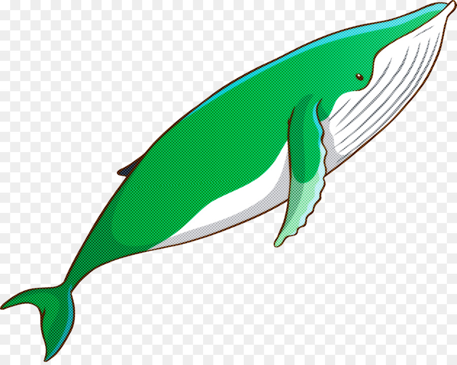 Baleine，Océan PNG