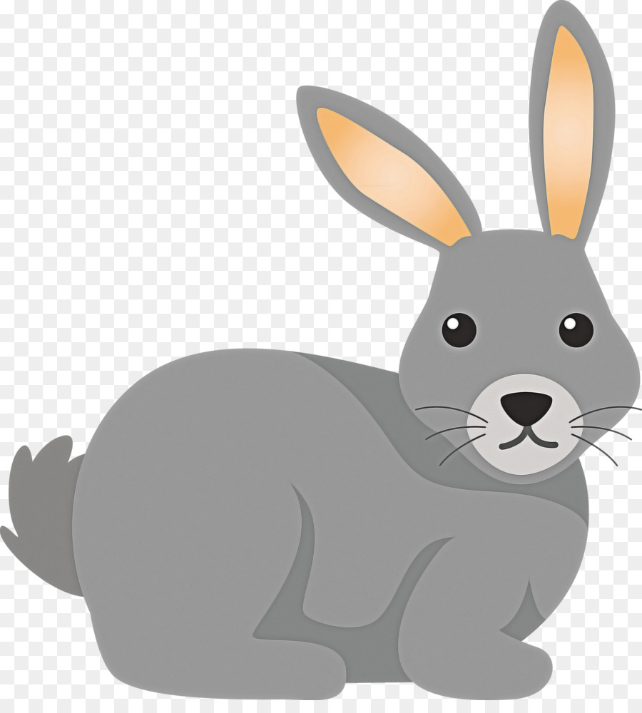 Lapin Vert，Lapin PNG