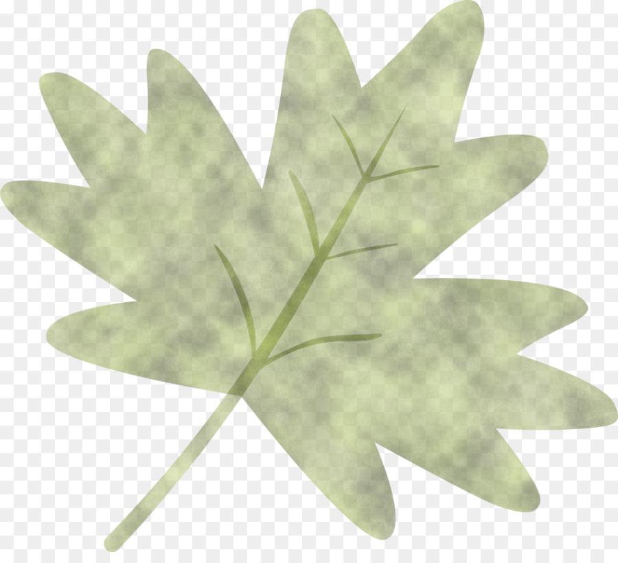 Feuille Verte，Usine PNG