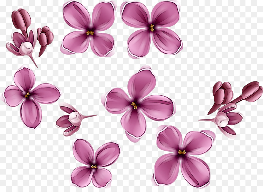 Fleurs，Fleurir PNG