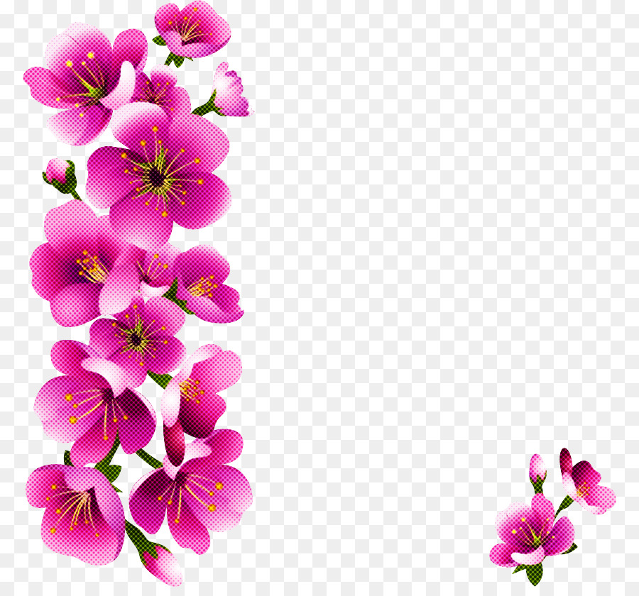 Fleurs，Fleurir PNG