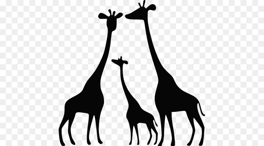 Girafe，Giraffides PNG