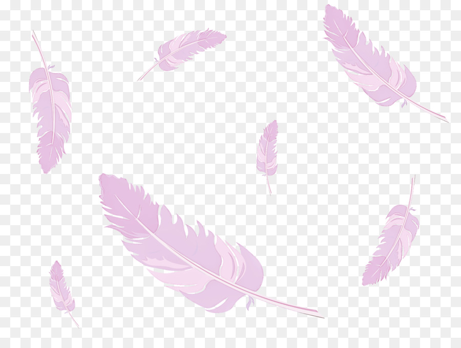 Plumes Roses，Rose PNG