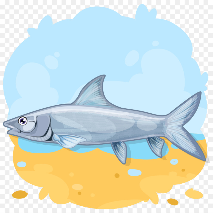 Poisson De Dessin Animé，Poisson PNG