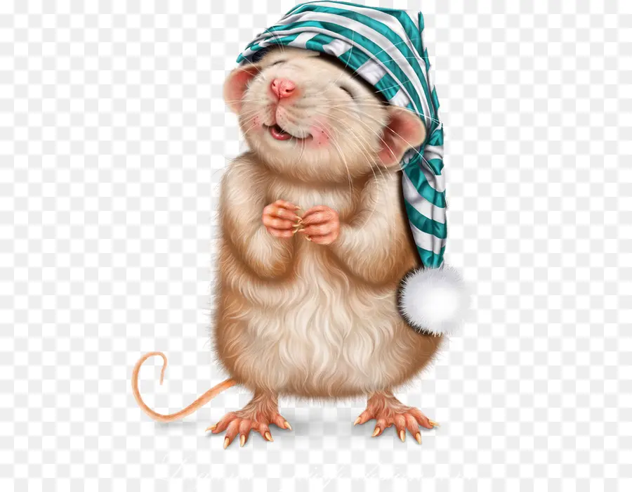 Rat，Hamster PNG