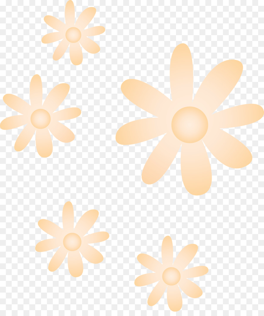 Fleurs，Marguerites PNG