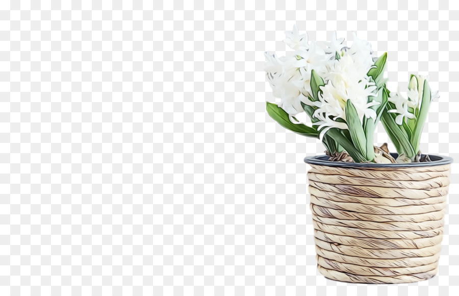 Fleur，Flowerpot PNG