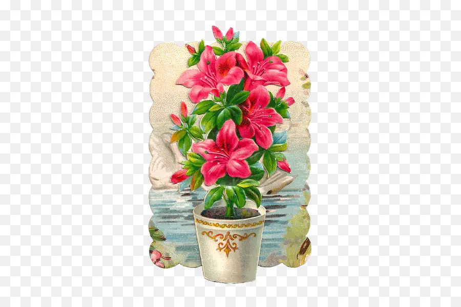 Flowerpot，Hibiscus PNG