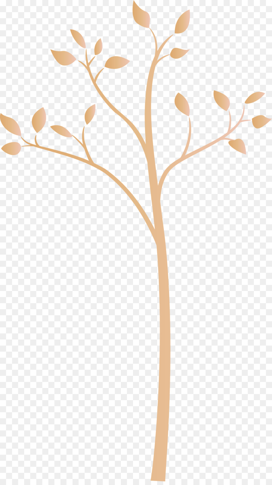 Branche D'oranger，Feuilles PNG