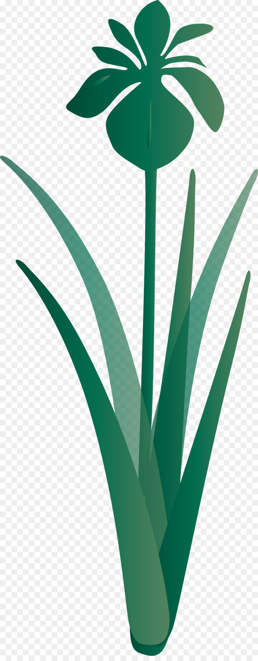 Plante Verte，Feuilles PNG