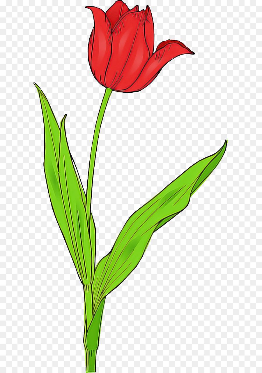 Fleur，Rouge PNG