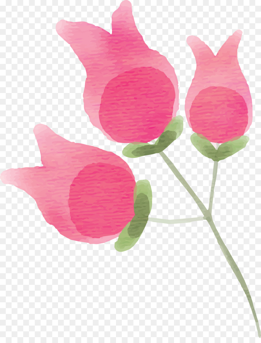 Rose，Fleur PNG