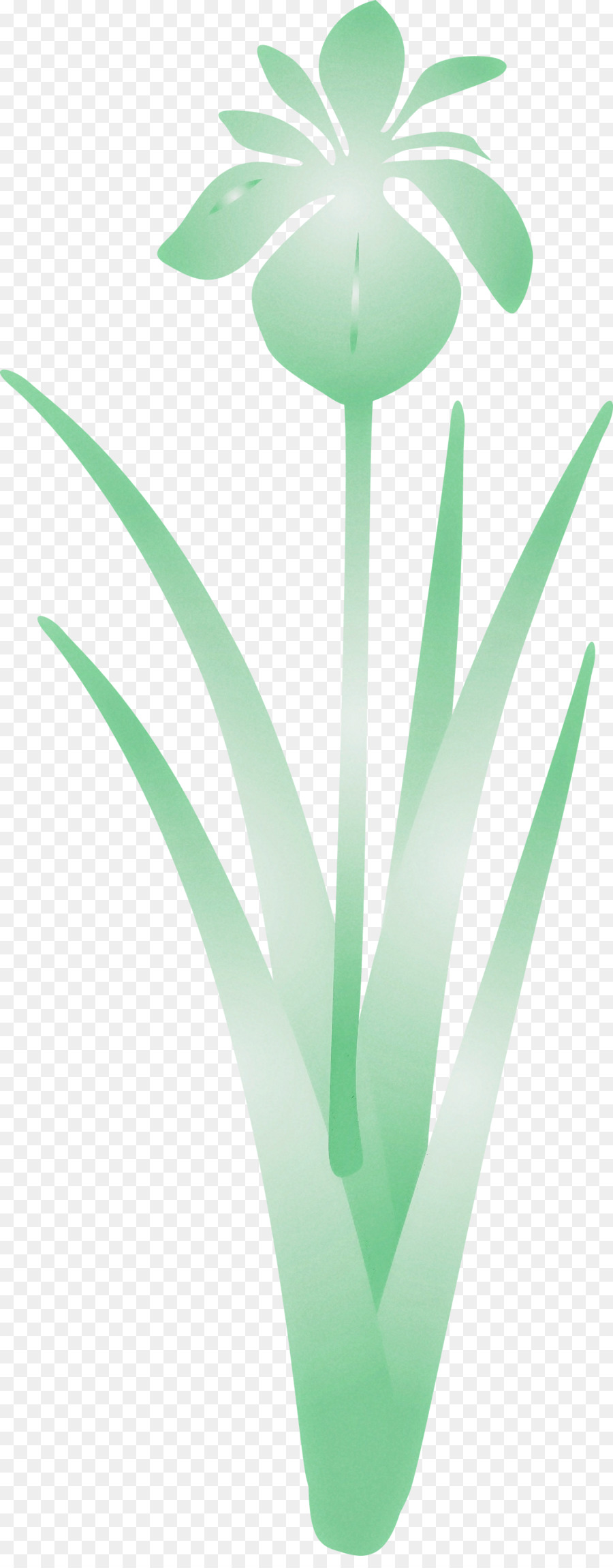 Plante Verte，Feuilles PNG