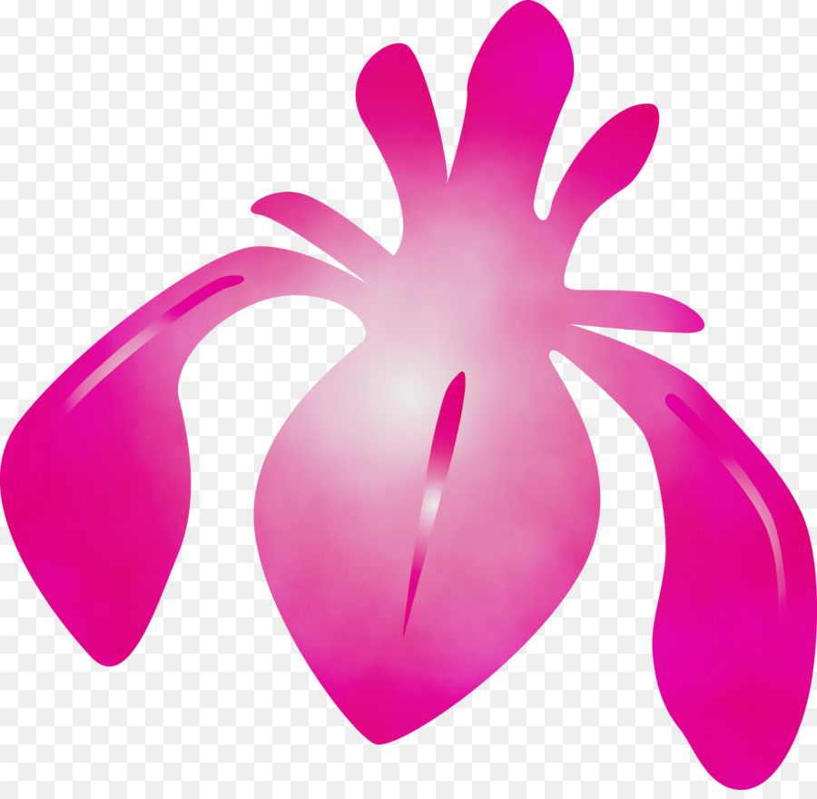 Rose，Magenta PNG