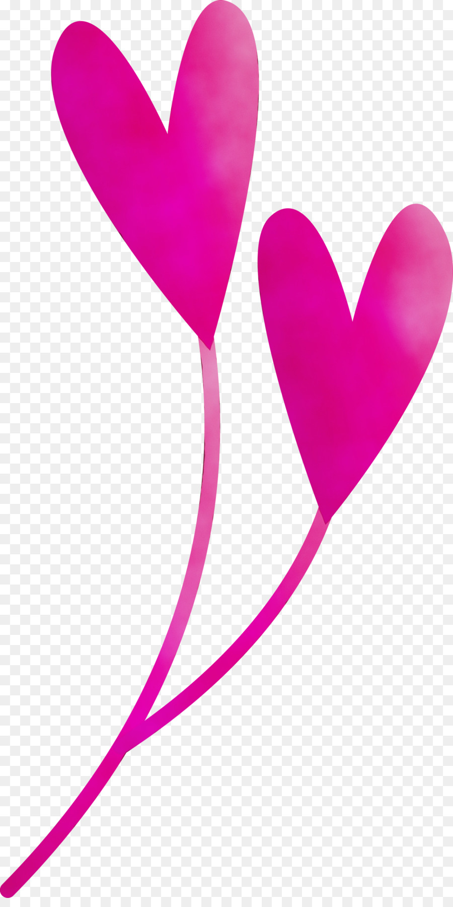 Fleur De Coeur，Amour PNG