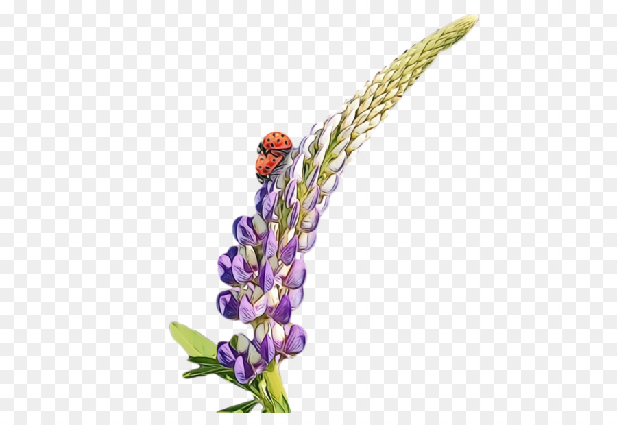Fleur，Usine PNG