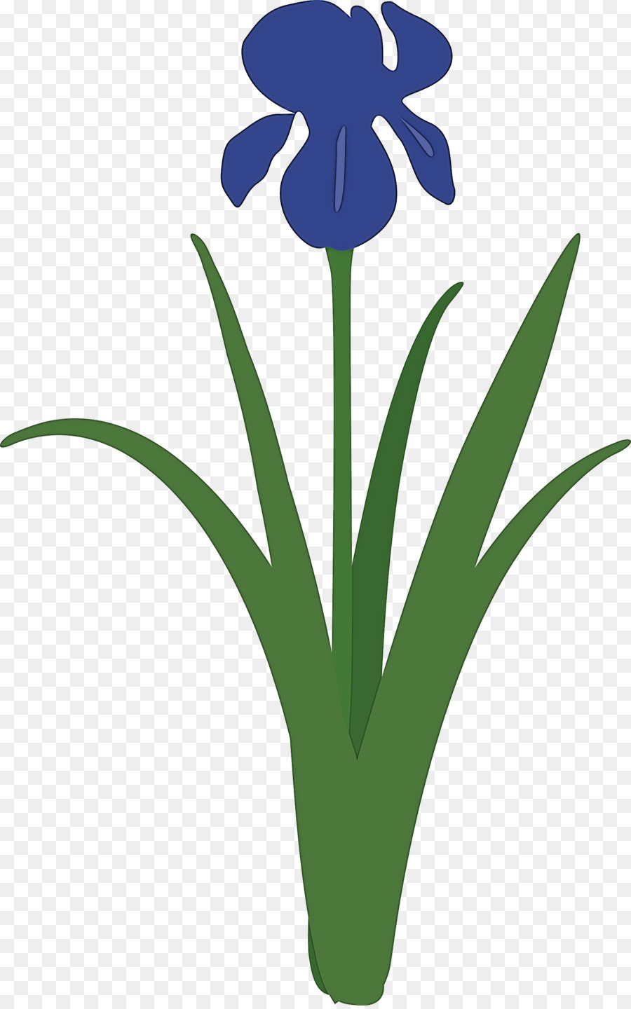 Fleur，Usine PNG