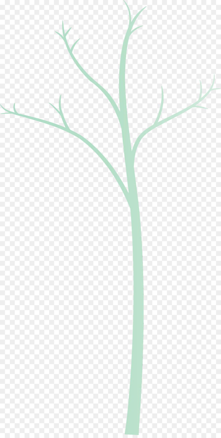 Arbre Nu，Bifurquer PNG