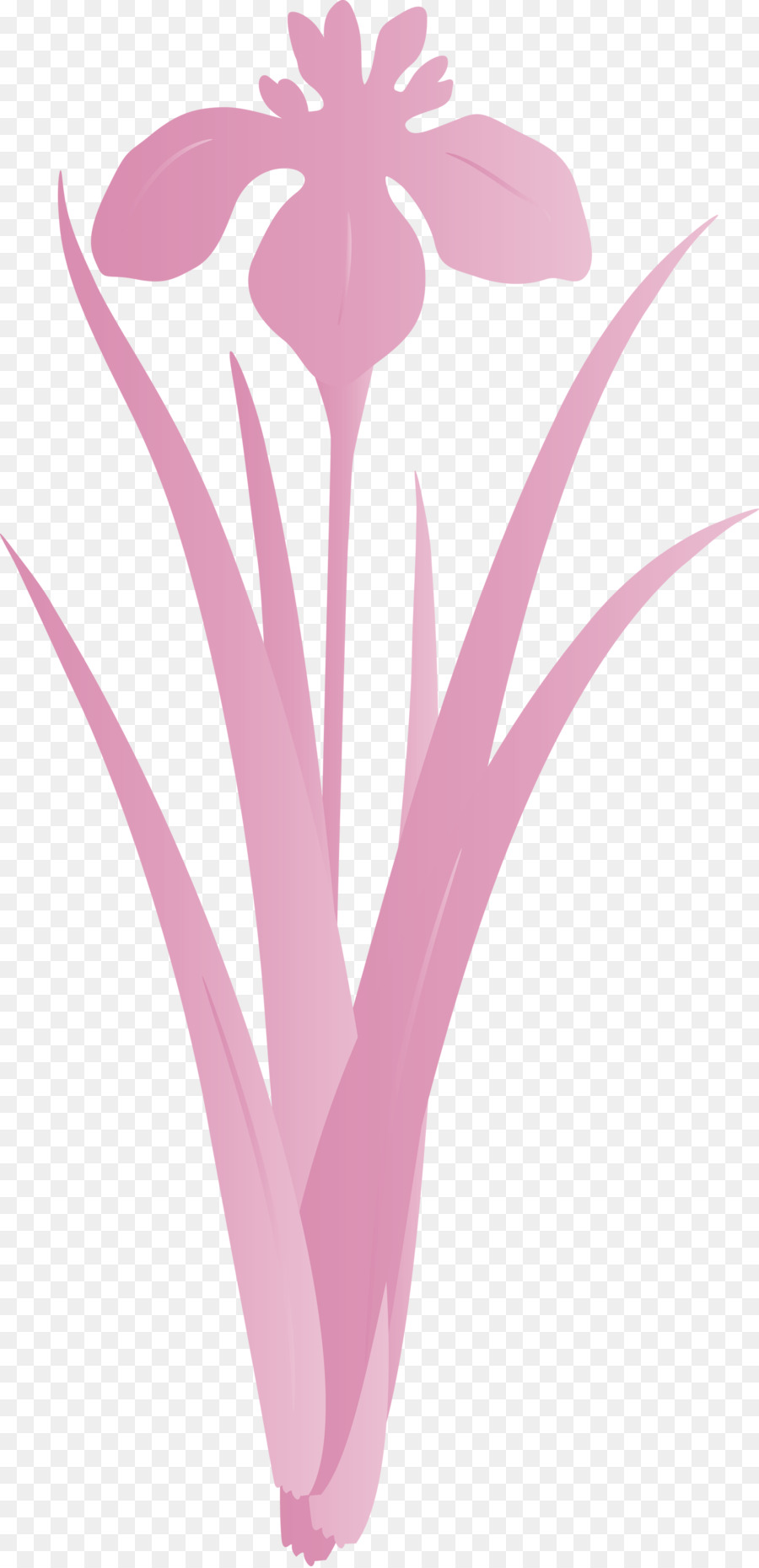 Rose，Usine PNG