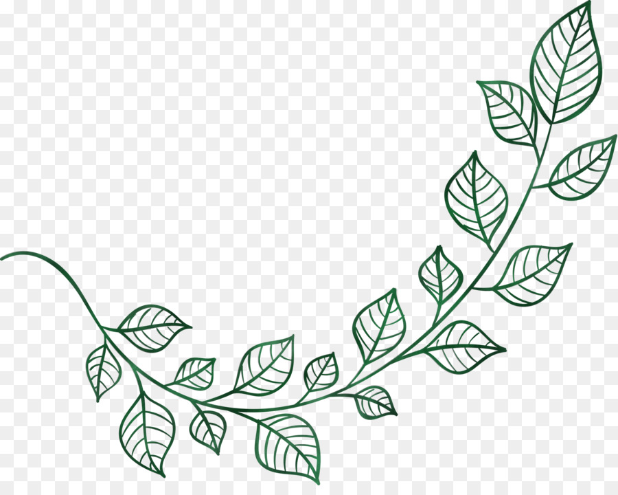 Vigne Verte，Feuilles PNG