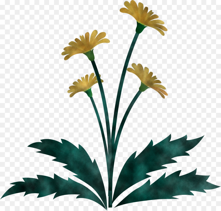 Fleurs De Pissenlit，Fleur PNG