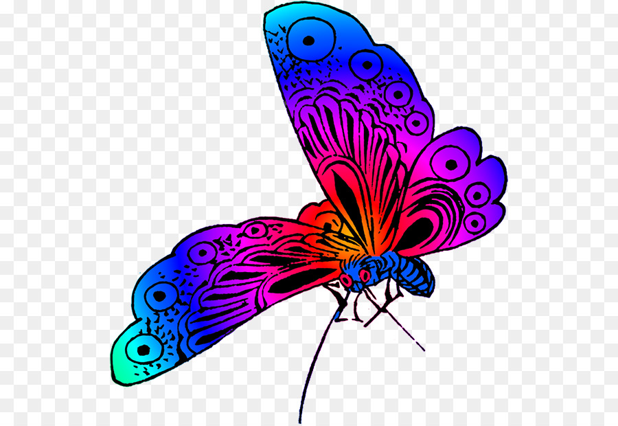 Papillon，Ailes PNG