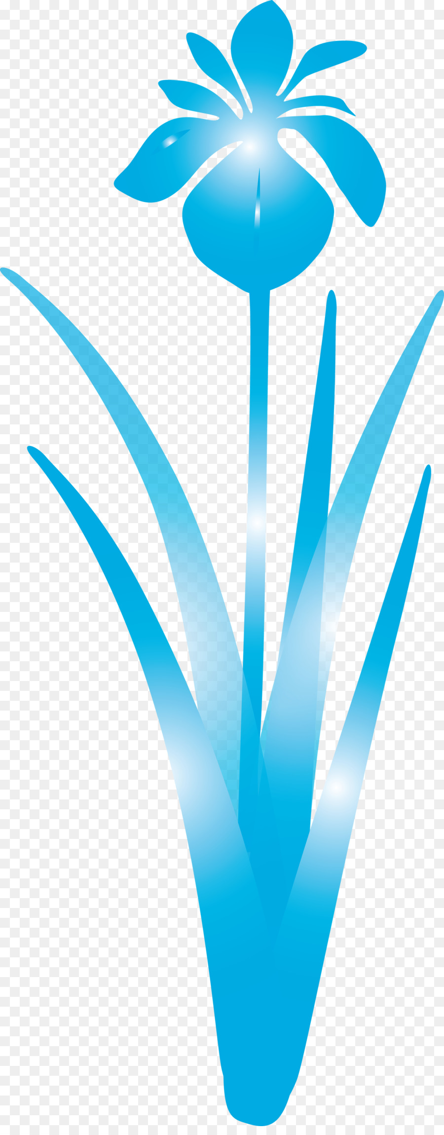 Aqua，Turquoise PNG