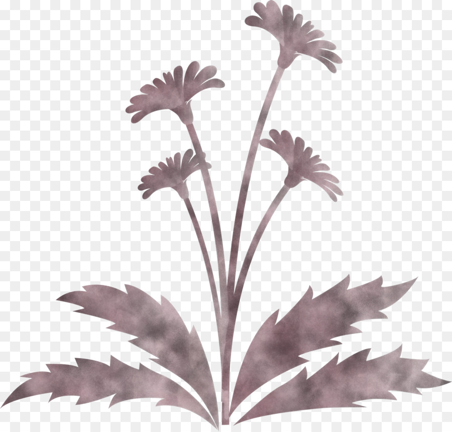 Fleur，Fleurir PNG