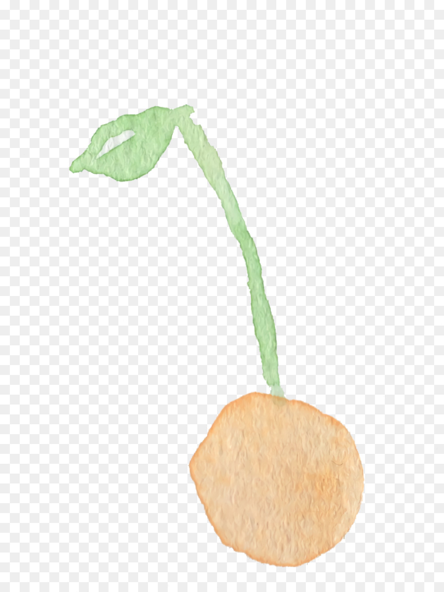 Feuille，Plante PNG