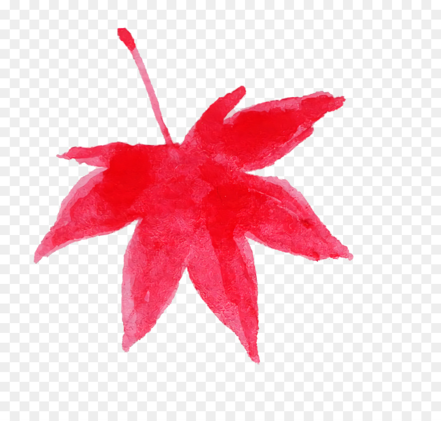 Feuilles D'érable，Automne PNG