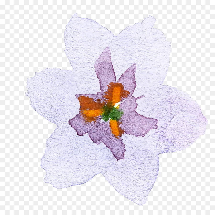 Fleur，Violet PNG