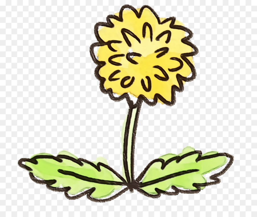 Jaune，Fleur PNG