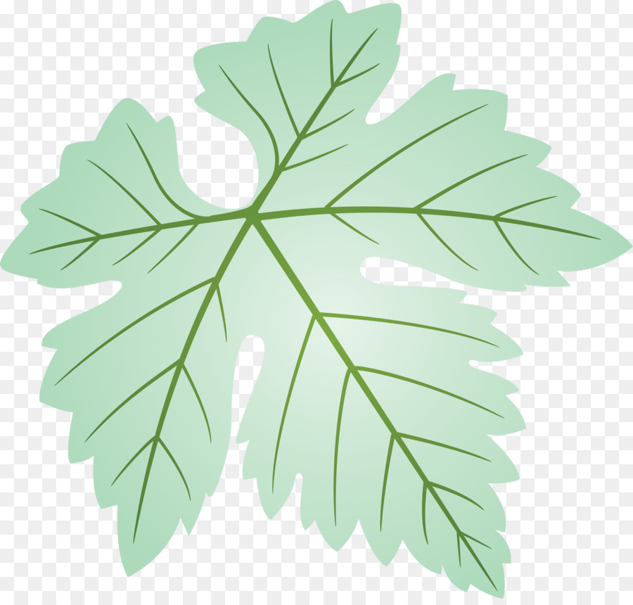 Feuille Verte，Nature PNG