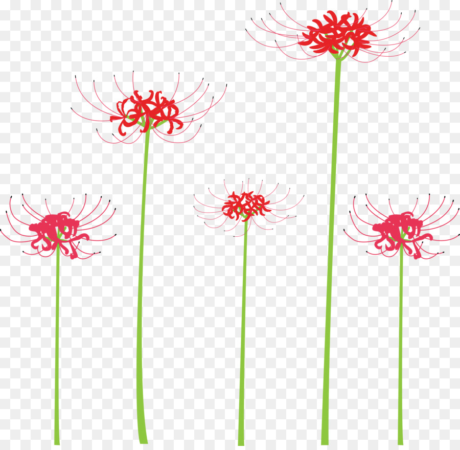 Fleur，Plante PNG