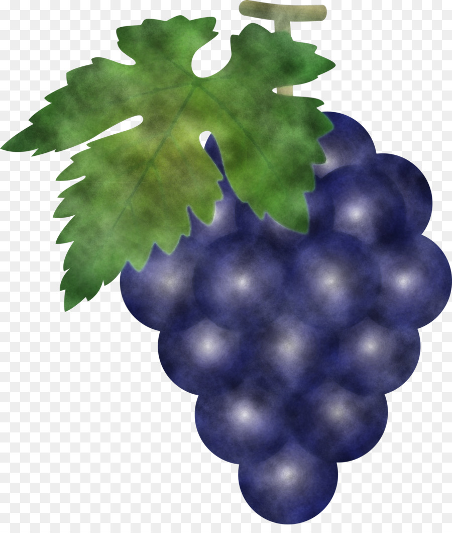 Raisins，Violet PNG