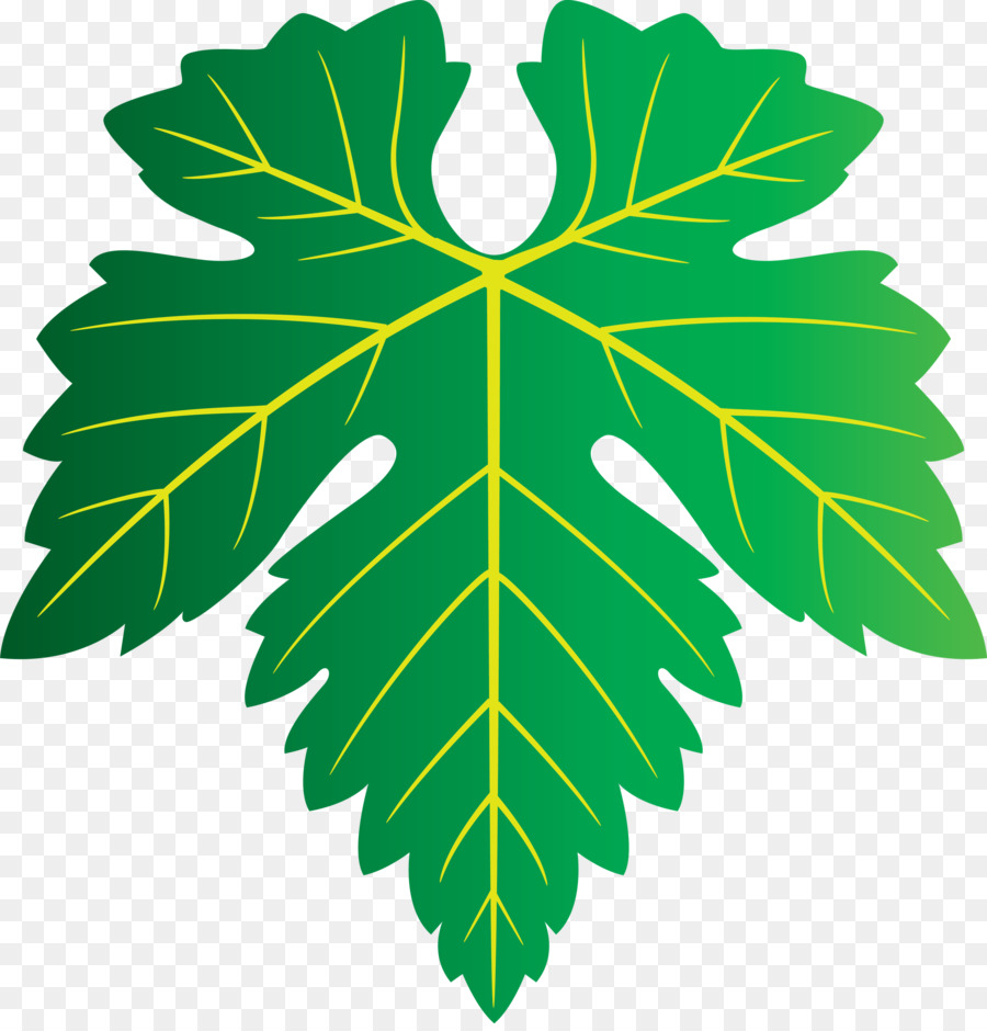 Feuille，Plante PNG