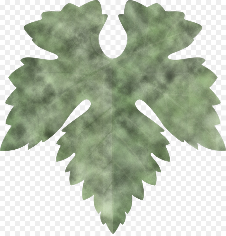 Feuille Verte，Usine PNG