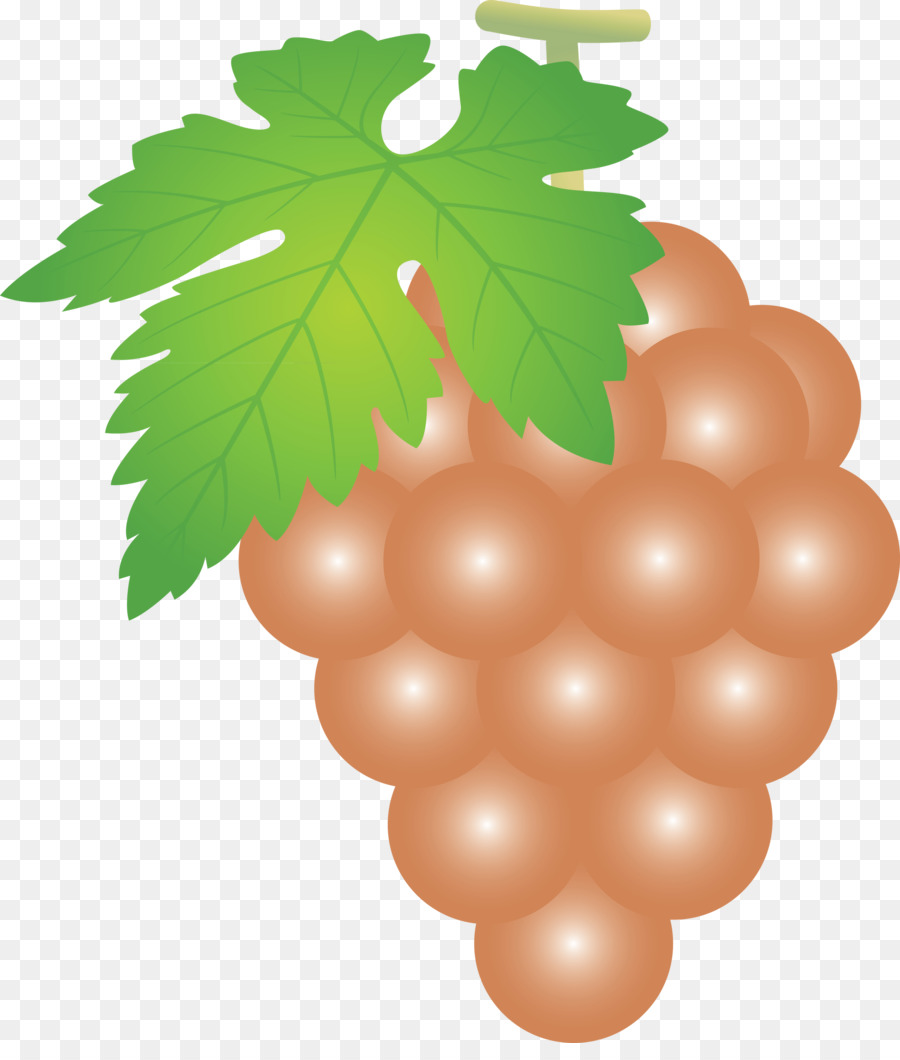 Raisins，Bouquet PNG