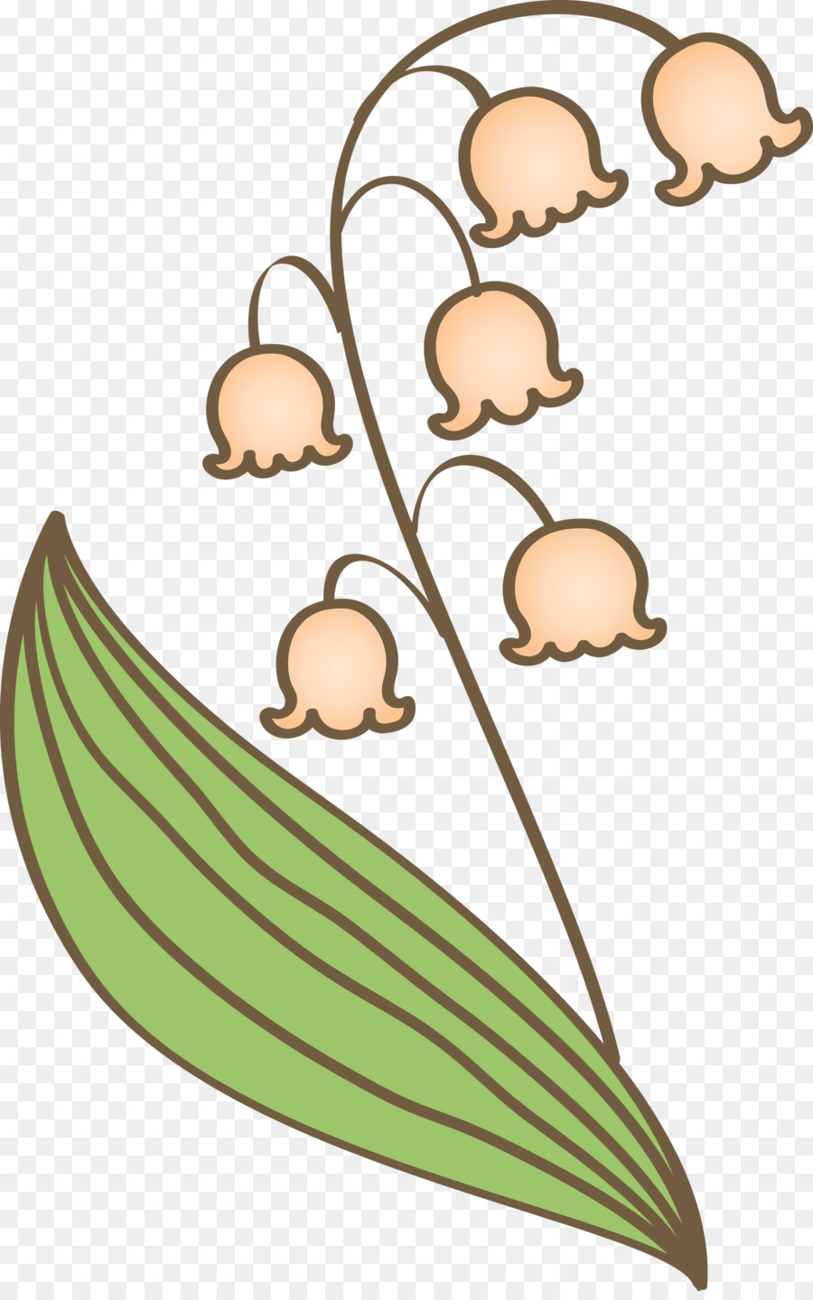 Feuille，Plante PNG