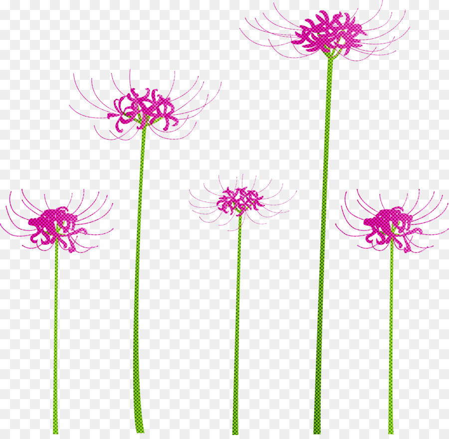 Fleurs Roses，Fleurs PNG