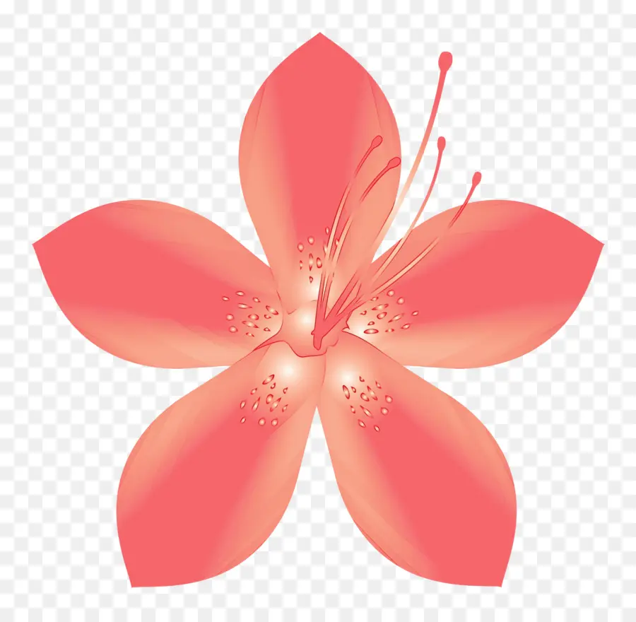 Pétale，Rose PNG